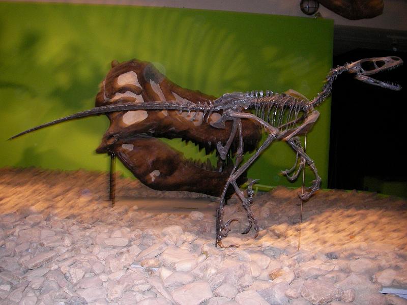 LV Zeltlager 2008 093.jpg